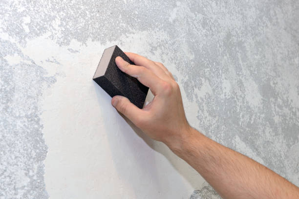 Best Airborne Mold Testing  in Camanche, IA